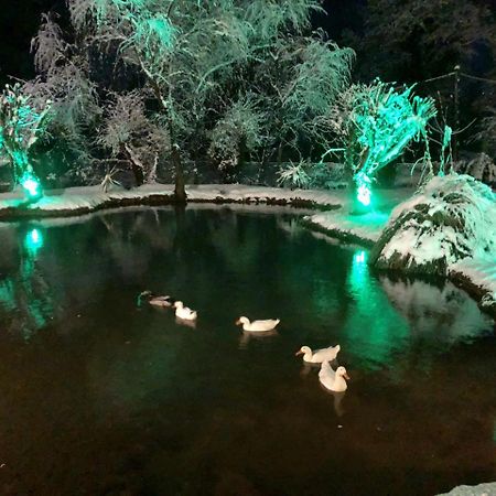 Dipla Sto Potami Hotel Chani Terevou Екстериор снимка